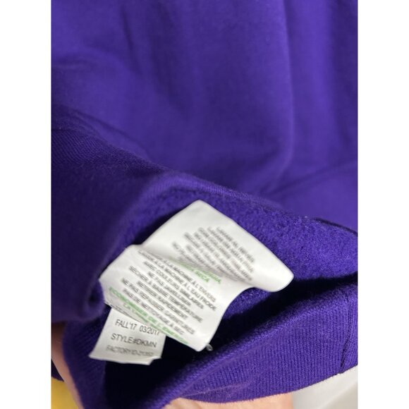 Minnesota Vikings NFL Team Apparel Hoodie Purple & Yellow sz XL - Picture 9 of 11
